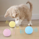 Bola Interativa para Gatos